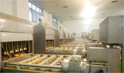 以&ldquo;新&rdquo;賦能,&ldquo;味&rdquo;見(jiàn)未來(lái)!豐島食品走出綠色智造之路