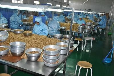 4個(gè)農(nóng)村冷門(mén)創(chuàng)業(yè)致富項(xiàng)目,每一個(gè)都隱藏大商機(jī)!做的人還不多!