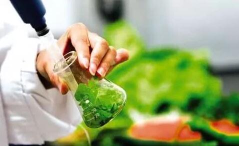 9月8日,大眾網記者從山東省市場監督管理局了解到,為進一步保障食品安全,省市場監管局對餐飲食品、淀粉及淀粉制品、豆制品、糕點、酒類、糧食加工品、肉制品、乳制品、食用農產品、蔬菜制品、水果制品、速凍食品、特殊醫學用途配方食品、調味品和飲料共15大類食品53?